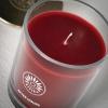 imageSullvans Vance Kitira Scented Candle Single Wick Jar Candles 80 Hour Burn Time 1587 Oz Pear ampamp Citrus Scent  Botanist Green LongLasting Aromatic Glass Candle for Home Dcor ampamp GiftsRaspberry Rose