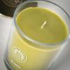 imageSullvans Vance Kitira Scented Candle Single Wick Jar Candles 80 Hour Burn Time 1587 Oz Pear ampamp Citrus Scent  Botanist Green LongLasting Aromatic Glass Candle for Home Dcor ampamp GiftsPear Citrus