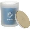 imageSullvans Vance Kitira Scented Candle Single Wick Jar Candles 80 Hour Burn Time 1587 Oz Pear ampamp Citrus Scent  Botanist Green LongLasting Aromatic Glass Candle for Home Dcor ampamp GiftsMint Coconut