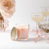 imageSullvans Vance Kitira Scented Candle Single Wick Jar Candles 80 Hour Burn Time 1587 Oz Pear ampamp Citrus Scent  Botanist Green LongLasting Aromatic Glass Candle for Home Dcor ampamp GiftsCitrus Blend