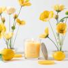 imageSullvans Vance Kitira Scented Candle Single Wick Jar Candles 80 Hour Burn Time 1587 Oz Pear ampamp Citrus Scent  Botanist Green LongLasting Aromatic Glass Candle for Home Dcor ampamp GiftsPeach