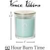 imageSullvans Vance Kitira Scented Candle Single Wick Jar Candles 80 Hour Burn Time 1587 Oz Pear ampamp Citrus Scent  Botanist Green LongLasting Aromatic Glass Candle for Home Dcor ampamp GiftsCactus Lemon