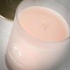 imageSullvans Vance Kitira Scented Candle Single Wick Jar Candles 80 Hour Burn Time 1587 Oz Pear ampamp Citrus Scent  Botanist Green LongLasting Aromatic Glass Candle for Home Dcor ampamp GiftsCitrus Blend