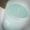 imageSullvans Vance Kitira Scented Candle Single Wick Jar Candles 80 Hour Burn Time 1587 Oz Pear ampamp Citrus Scent  Botanist Green LongLasting Aromatic Glass Candle for Home Dcor ampamp GiftsCactus Lemon