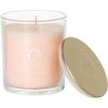 imageSullvans Vance Kitira Scented Candle Single Wick Jar Candles 80 Hour Burn Time 1587 Oz Pear ampamp Citrus Scent  Botanist Green LongLasting Aromatic Glass Candle for Home Dcor ampamp GiftsCitrus Blend