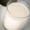 imageSullvans Vance Kitira Scented Candle Single Wick Jar Candles 80 Hour Burn Time 1587 Oz Pear ampamp Citrus Scent  Botanist Green LongLasting Aromatic Glass Candle for Home Dcor ampamp GiftsBerry Citrus