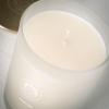 imageSullvans Vance Kitira Scented Candle Single Wick Jar Candles 80 Hour Burn Time 1587 Oz Pear ampamp Citrus Scent  Botanist Green LongLasting Aromatic Glass Candle for Home Dcor ampamp GiftsBerry Citrus