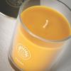 imageSullvans Vance Kitira Scented Candle Single Wick Jar Candles 80 Hour Burn Time 1587 Oz Pear ampamp Citrus Scent  Botanist Green LongLasting Aromatic Glass Candle for Home Dcor ampamp GiftsApple Citrus