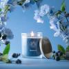 imageSullvans Vance Kitira Scented Candle Single Wick Jar Candles 80 Hour Burn Time 1587 Oz Pear ampamp Citrus Scent  Botanist Green LongLasting Aromatic Glass Candle for Home Dcor ampamp GiftsMint Coconut