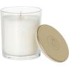 imageSullvans Vance Kitira Scented Candle Single Wick Jar Candles 80 Hour Burn Time 1587 Oz Pear ampamp Citrus Scent  Botanist Green LongLasting Aromatic Glass Candle for Home Dcor ampamp GiftsLemon Lime