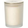 imageSullvans Vance Kitira Scented Candle Single Wick Jar Candles 80 Hour Burn Time 1587 Oz Pear ampamp Citrus Scent  Botanist Green LongLasting Aromatic Glass Candle for Home Dcor ampamp GiftsBerry Citrus