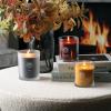 imageSullvans Vance Kitira Scented Candle Single Wick Jar Candles 80 Hour Burn Time 1587 Oz Pear ampamp Citrus Scent  Botanist Green LongLasting Aromatic Glass Candle for Home Dcor ampamp GiftsBerry Citrus