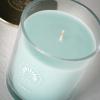 imageSullvans Vance Kitira Scented Candle Single Wick Jar Candles 80 Hour Burn Time 1587 Oz Pear ampamp Citrus Scent  Botanist Green LongLasting Aromatic Glass Candle for Home Dcor ampamp GiftsCactus Lemon