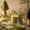 imageSullvans Vance Kitira Scented Candle Single Wick Jar Candles 80 Hour Burn Time 1587 Oz Pear ampamp Citrus Scent  Botanist Green LongLasting Aromatic Glass Candle for Home Dcor ampamp GiftsPear Citrus