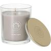 imageSullvans Vance Kitira Scented Candle Single Wick Jar Candles 80 Hour Burn Time 1587 Oz Pear ampamp Citrus Scent  Botanist Green LongLasting Aromatic Glass Candle for Home Dcor ampamp GiftsMandarin Leather