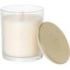 imageSullvans Vance Kitira Scented Candle Single Wick Jar Candles 80 Hour Burn Time 1587 Oz Pear ampamp Citrus Scent  Botanist Green LongLasting Aromatic Glass Candle for Home Dcor ampamp GiftsBerry Citrus