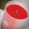 imageSullvans Vance Kitira Scented Candle Single Wick Jar Candles 80 Hour Burn Time 1587 Oz Pear ampamp Citrus Scent  Botanist Green LongLasting Aromatic Glass Candle for Home Dcor ampamp GiftsStrawberry Tangerine