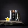 imageSullvans Vance Kitira Scented Candle Single Wick Jar Candles 80 Hour Burn Time 1587 Oz Pear ampamp Citrus Scent  Botanist Green LongLasting Aromatic Glass Candle for Home Dcor ampamp GiftsFloral