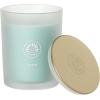 imageSullvans Vance Kitira Scented Candle Single Wick Jar Candles 80 Hour Burn Time 1587 Oz Pear ampamp Citrus Scent  Botanist Green LongLasting Aromatic Glass Candle for Home Dcor ampamp GiftsCactus Lemon