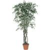 imageSullivans 84 Inch Olive Tree Everyday Artificial Trees Fake Indoor Tree Artificial Greenery Dcor Living Room Office Entryway Home Dcor