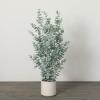 imageSullivans Fake Pant Large Potted Eucalyptus Artificial Tree Indoor 4 ft Faux Greenery Plant in Pot Perfect for Living Room Home and Office Dcor
