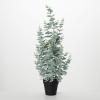 imageSullivans Fake Plant Medium Potted Eucalyptus Artificial Tree Indoor 25 Ft Faux Greenery Plant in Pot Perfect for Living Room Home and Office Dcor