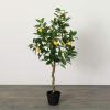 imageSullivans Fake Plant Potted Lemon Artificial Tree Indoor 35 ft Faux LifeLike Greenery Plant in Pot 41quot Perfect for Living Room Home and Office Dcor