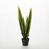 imageSullivans Fake Plant Potted Snake Plant Artificial Tree Indoor 2 ft Faux LifeLike Sansevieria Greenery Plant in Pot 22quot Perfect for Living Room Home and Office Dcor