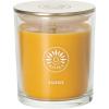imageSullvans Vance Kitira Scented Candle Single Wick Jar Candles 80 Hour Burn Time 1587 Oz Pear ampamp Citrus Scent  Botanist Green LongLasting Aromatic Glass Candle for Home Dcor ampamp GiftsApple Citrus