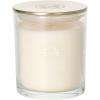 imageSullvans Vance Kitira Scented Candle Single Wick Jar Candles 80 Hour Burn Time 1587 Oz Pear ampamp Citrus Scent  Botanist Green LongLasting Aromatic Glass Candle for Home Dcor ampamp GiftsBerry Citrus