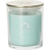 imageSullvans Vance Kitira Scented Candle Single Wick Jar Candles 80 Hour Burn Time 1587 Oz Pear ampamp Citrus Scent  Botanist Green LongLasting Aromatic Glass Candle for Home Dcor ampamp GiftsCactus Lemon