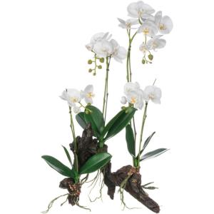 imageSullivans 0571POT Decorative Fiddle Leaf Tree Artificial Potted Plant Green 5 Feet x 27 InchPhalaenopsis