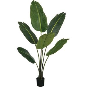 imageSullivans 50 Inch Bird of Paradise Foliage Everyday Artificial Trees Fake Indoor Tree Artificial Greenery Dcor Living Room Office Entryway Home Dcor