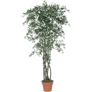 imageSullivans 84 Inch Olive Tree Everyday Artificial Trees Fake Indoor Tree Artificial Greenery Dcor Living Room Office Entryway Home Dcor