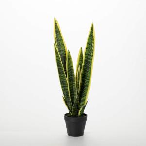 imageSullivans Fake Plant Potted Snake Plant Artificial Tree Indoor 2 ft Faux LifeLike Sansevieria Greenery Plant in Pot 22quot Perfect for Living Room Home and Office Dcor