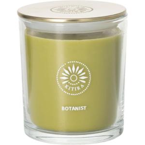 imageSullvans Vance Kitira Scented Candle Single Wick Jar Candles 80 Hour Burn Time 1587 Oz Pear ampamp Citrus Scent  Botanist Green LongLasting Aromatic Glass Candle for Home Dcor ampamp GiftsPear Citrus