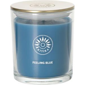 imageSullvans Vance Kitira Scented Candle Single Wick Jar Candles 80 Hour Burn Time 1587 Oz Pear ampamp Citrus Scent  Botanist Green LongLasting Aromatic Glass Candle for Home Dcor ampamp GiftsMint Coconut