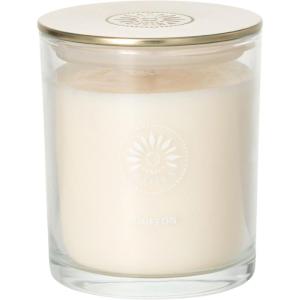 imageSullvans Vance Kitira Scented Candle Single Wick Jar Candles 80 Hour Burn Time 1587 Oz Pear ampamp Citrus Scent  Botanist Green LongLasting Aromatic Glass Candle for Home Dcor ampamp GiftsBerry Citrus