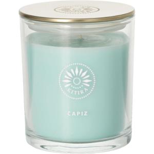 imageSullvans Vance Kitira Scented Candle Single Wick Jar Candles 80 Hour Burn Time 1587 Oz Pear ampamp Citrus Scent  Botanist Green LongLasting Aromatic Glass Candle for Home Dcor ampamp GiftsCactus Lemon