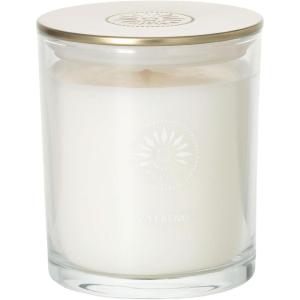 imageSullvans Vance Kitira Scented Candle Single Wick Jar Candles 80 Hour Burn Time 1587 Oz Pear ampamp Citrus Scent  Botanist Green LongLasting Aromatic Glass Candle for Home Dcor ampamp GiftsLemon Lime