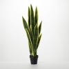 imageSullivans Fake Plant Potted Sansevieria Artificial Tree Indoor 3 ft Faux LifeLike Greenery Plant in Pot 36quot Perfect for Living Room Home and Office Dcor