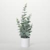 imageSullivans Fake Plants Potted Eucalyptus Artificial Plant for Indoor 205quot Silver Gray Green Eucalyptus Stems Faux LifeLike Plant in White Pot Perfect for Living Room Home and Office Dcor