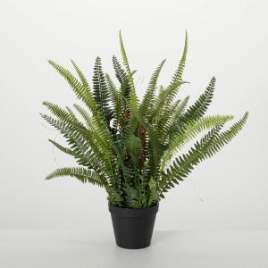 imageSullivans Fake Plants Potted Fern Artificial Plant for Indoor 21quot Lush Fern Faux LifeLike Plant in Black Pot Perfect for Living Room Home and Office Dcor Shelf ampamp Mantle Decorations