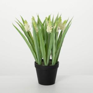 imageSullivans Fake Plants Potted Grape Hyacinth Artificial Flower for Indoor 14quot Ivory Hyacinth Faux LifeLike Floral Plant in Black Pot Perfect for Living Room Home and Office Dcor