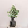 imageSullivans Fake Plants Eucalyptus Pod Stems for Indoor 18quot Artificial Green Pod and Eucalyptus Greenery Pick Leaf Stem for Pot Vase Arrangement in Living Room Home Office Dcor Shelf Decorations