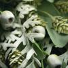 imageSullivans Fake Plants Eucalyptus Pod Stems for Indoor 18quot Artificial Green Pod and Eucalyptus Greenery Pick Leaf Stem for Pot Vase Arrangement in Living Room Home Office Dcor Shelf Decorations