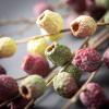 imageSullivans Spring Long Berry Spray Set of 3 415Inch Artificial Fake Flower Berry Stem Bundles Lifelike Centerpiece for Home Office Weddings and Gifts Decor