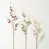 imageSullivans Spring Long Berry Spray Set of 3 415Inch Artificial Fake Flower Berry Stem Bundles Lifelike Centerpiece for Home Office Weddings and Gifts Decor