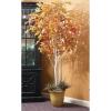 imageSullivans 84 Inch Birch Tree Everyday Artificial Trees Fake Indoor Tree Artificial Greenery Dcor Living Room Office Entryway Home Dcor