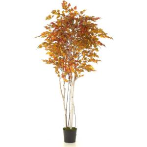 imageSullivans 84 Inch Birch Tree Everyday Artificial Trees Fake Indoor Tree Artificial Greenery Dcor Living Room Office Entryway Home Dcor